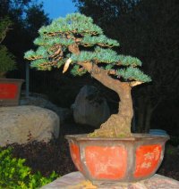 psb (3).jpg