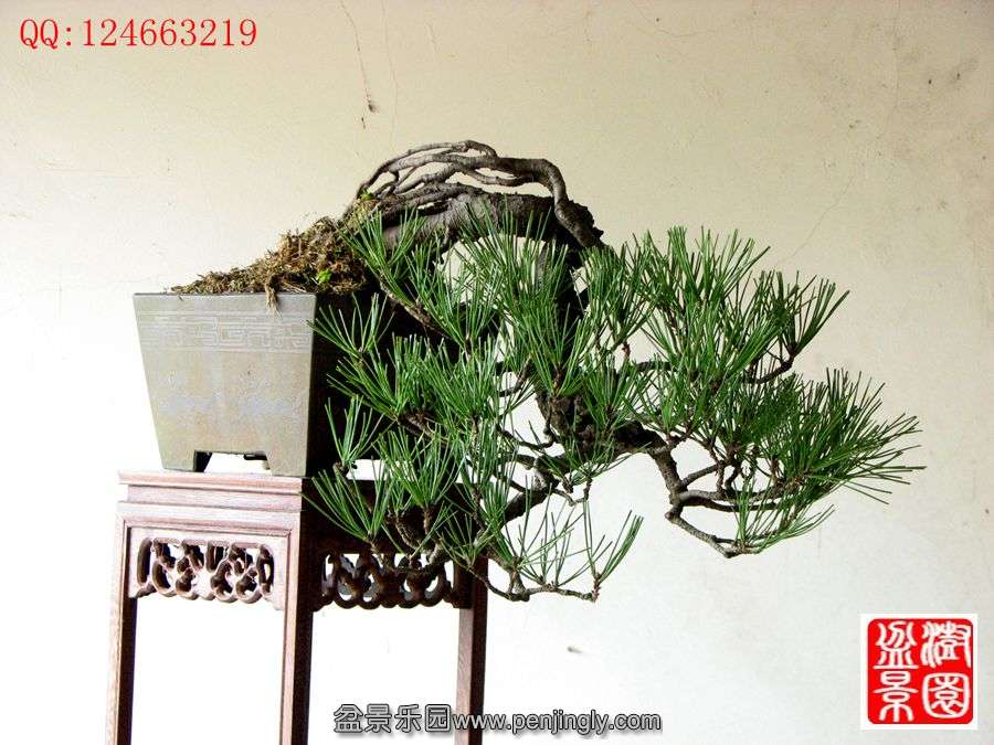 IMG_0275_.jpg