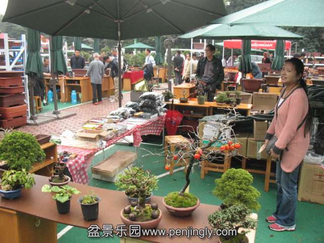 IMG_8439.JPG