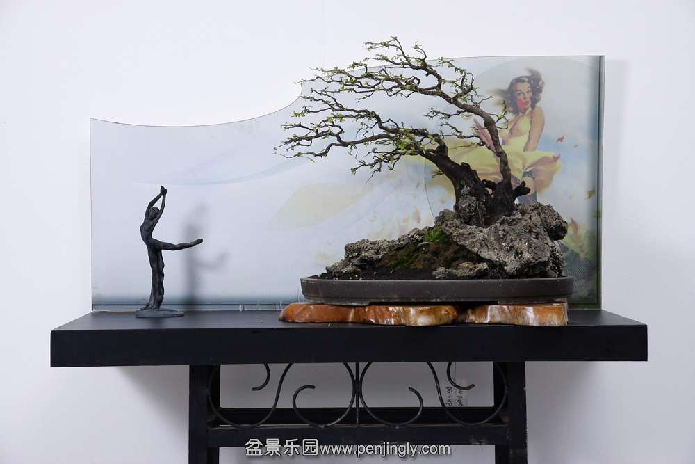 HR_089Bonsai.JPG