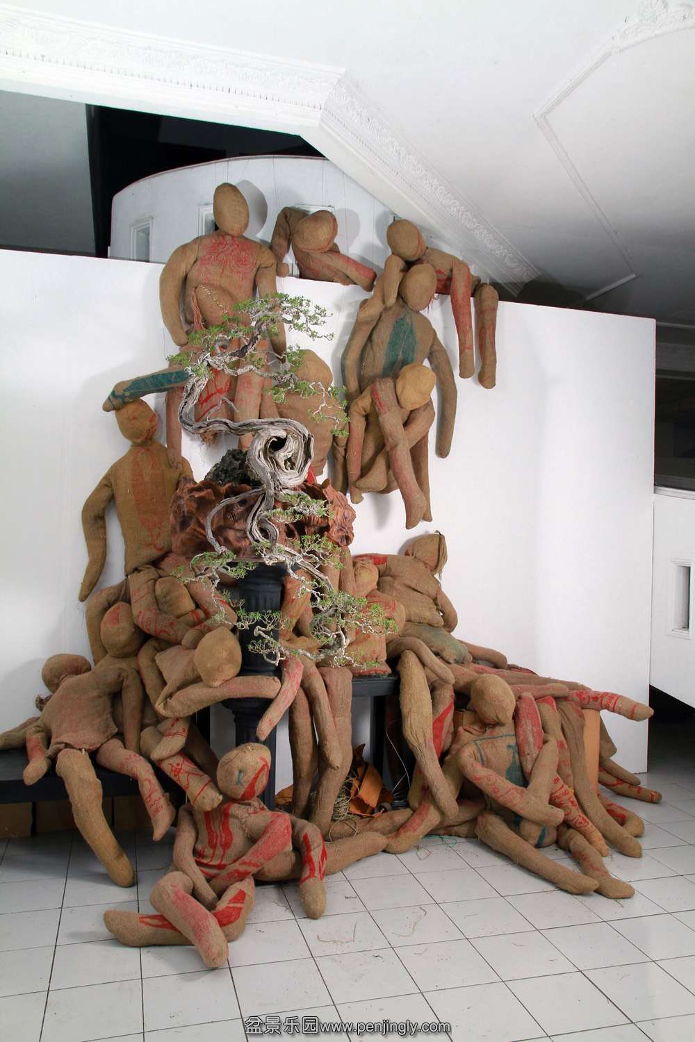 HR_131Bonsai.JPG