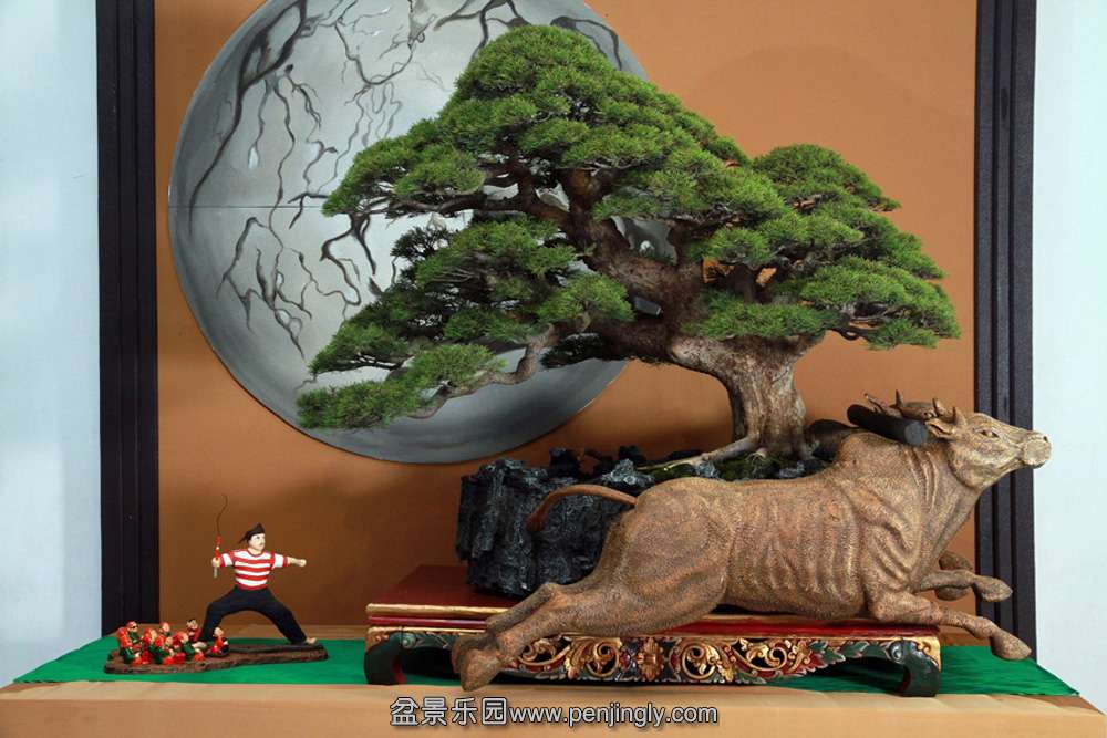 HR_135Bonsai.JPG