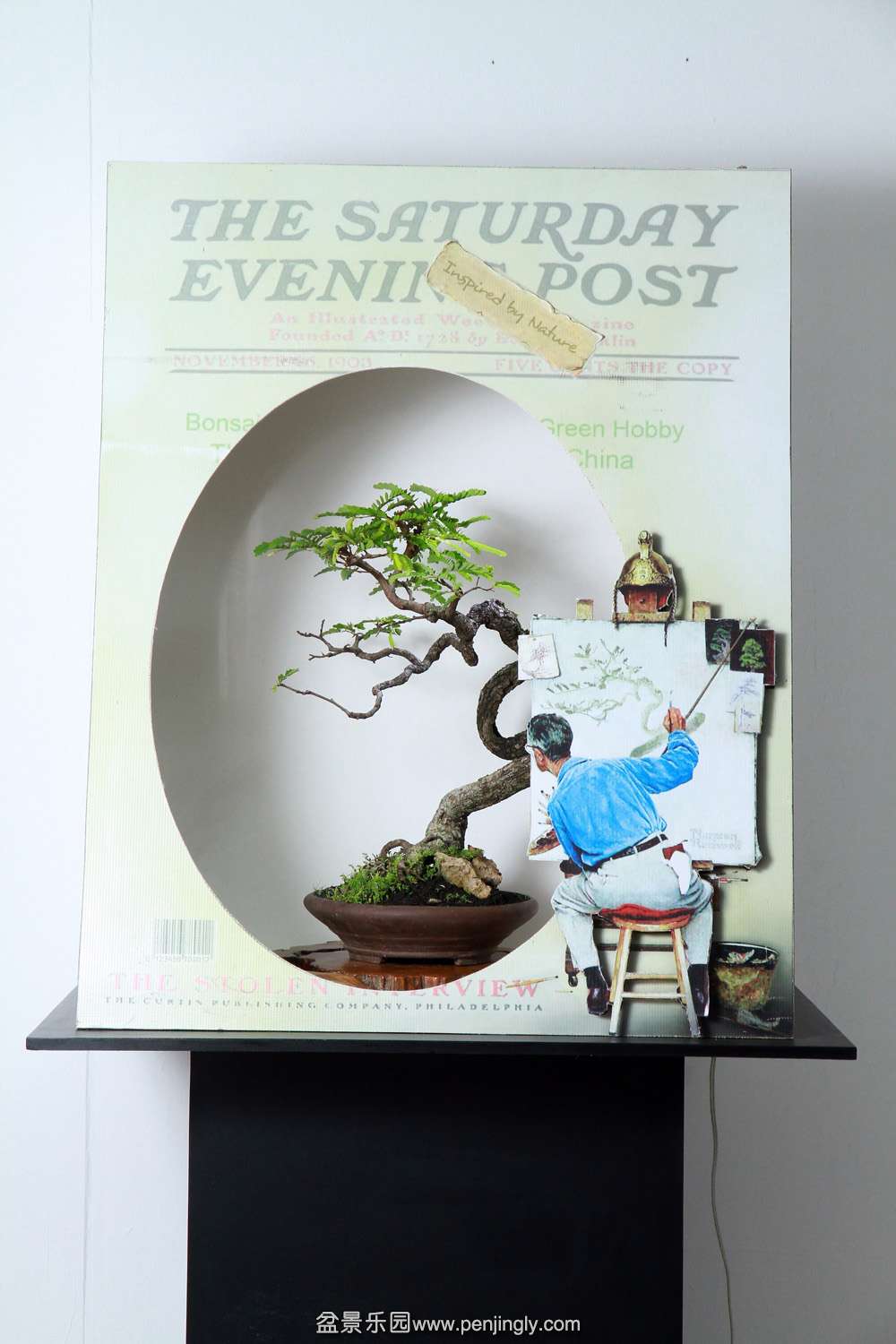 HR_182Bonsai.JPG