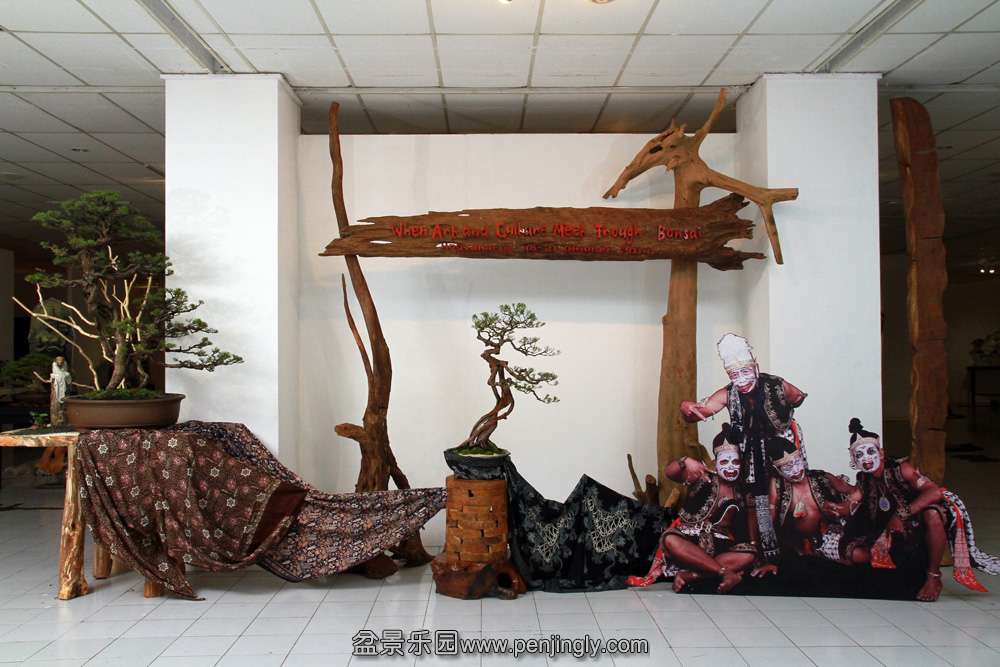 HR_190Bonsai.JPG