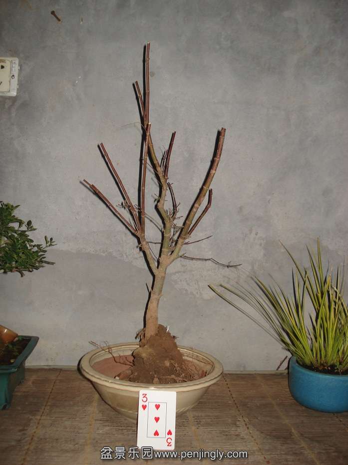 DSC00584.JPG