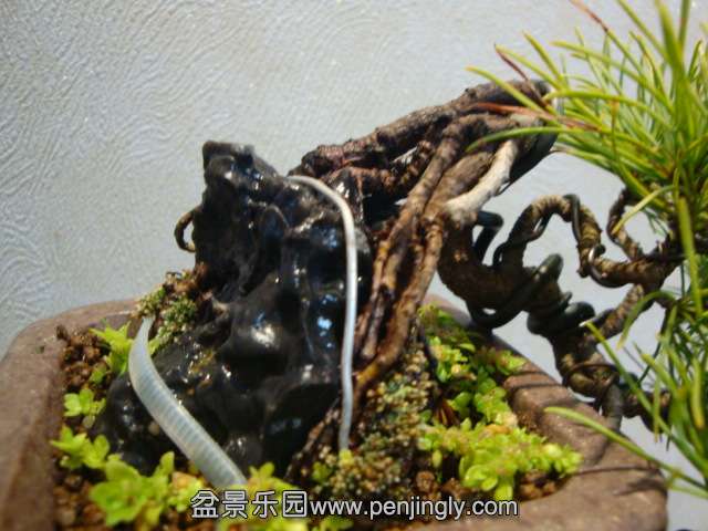 DSC09399.JPG