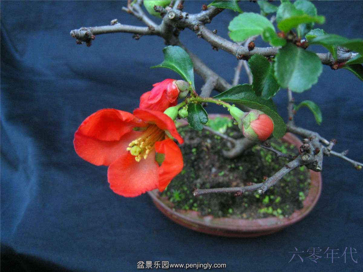 IMG_2428.jpg