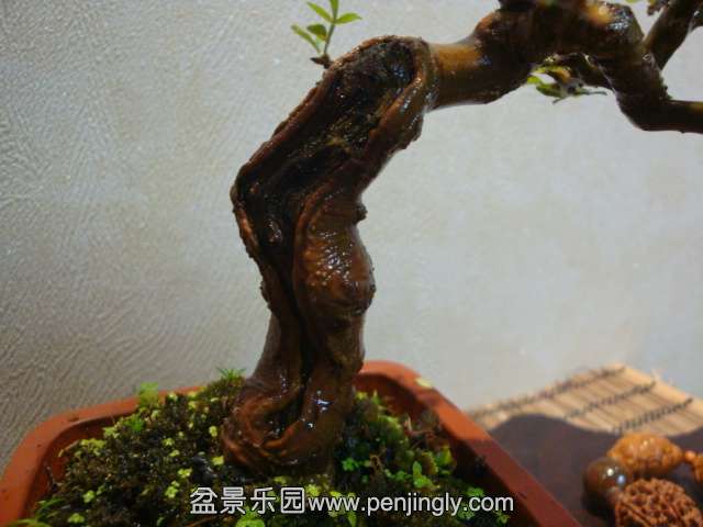 DSC09406.JPG