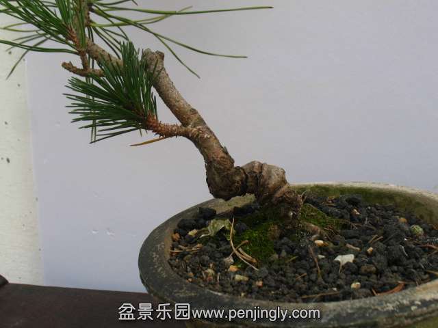 IMG_8391.JPG