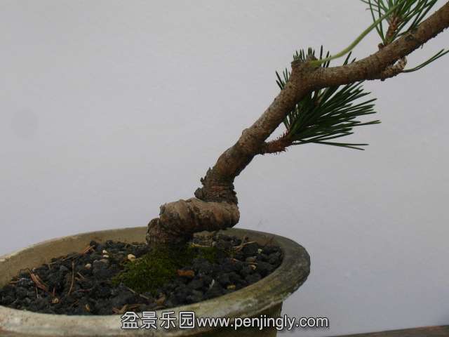IMG_8392.JPG