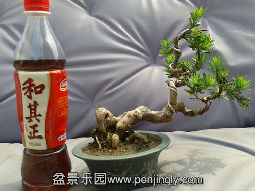 2013-05-27 13.45.36.jpg