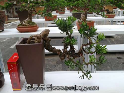 2013-06-13 14.40.18.jpg