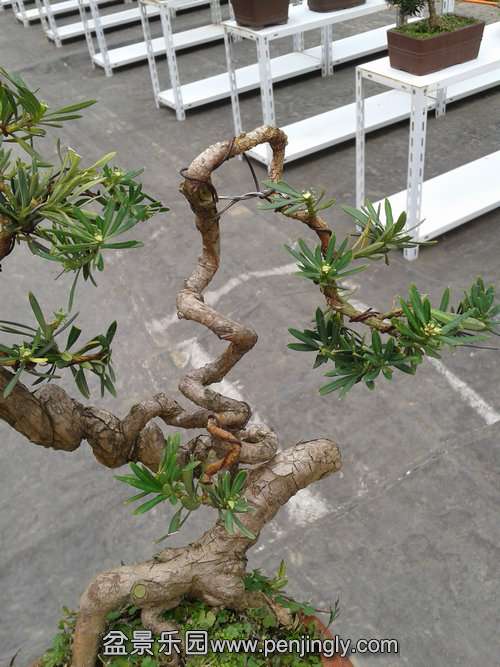 2013-11-12 14.12.33.jpg