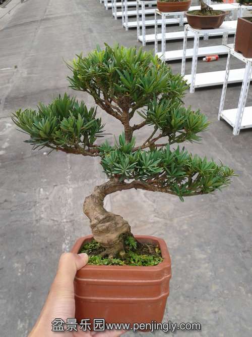 2013-10-25 14.41.16.jpg