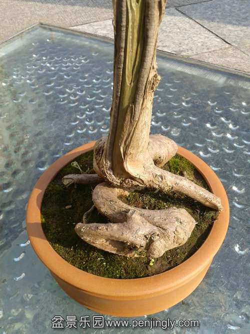 2013-12-11 13.34.24.jpg