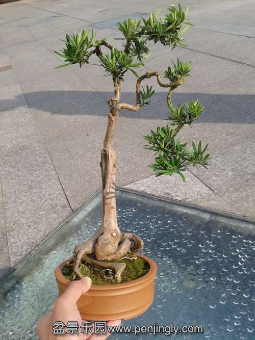 2013-12-11 13.35.03.jpg