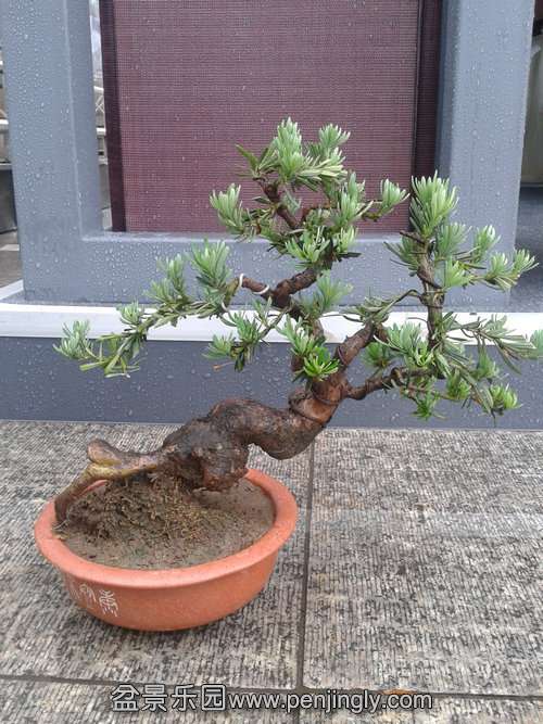 2013-06-08 12.14.37.jpg