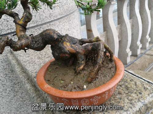 2013-06-08 12.19.27.jpg