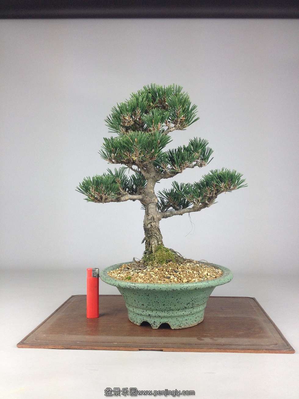 �����30cm����3cm