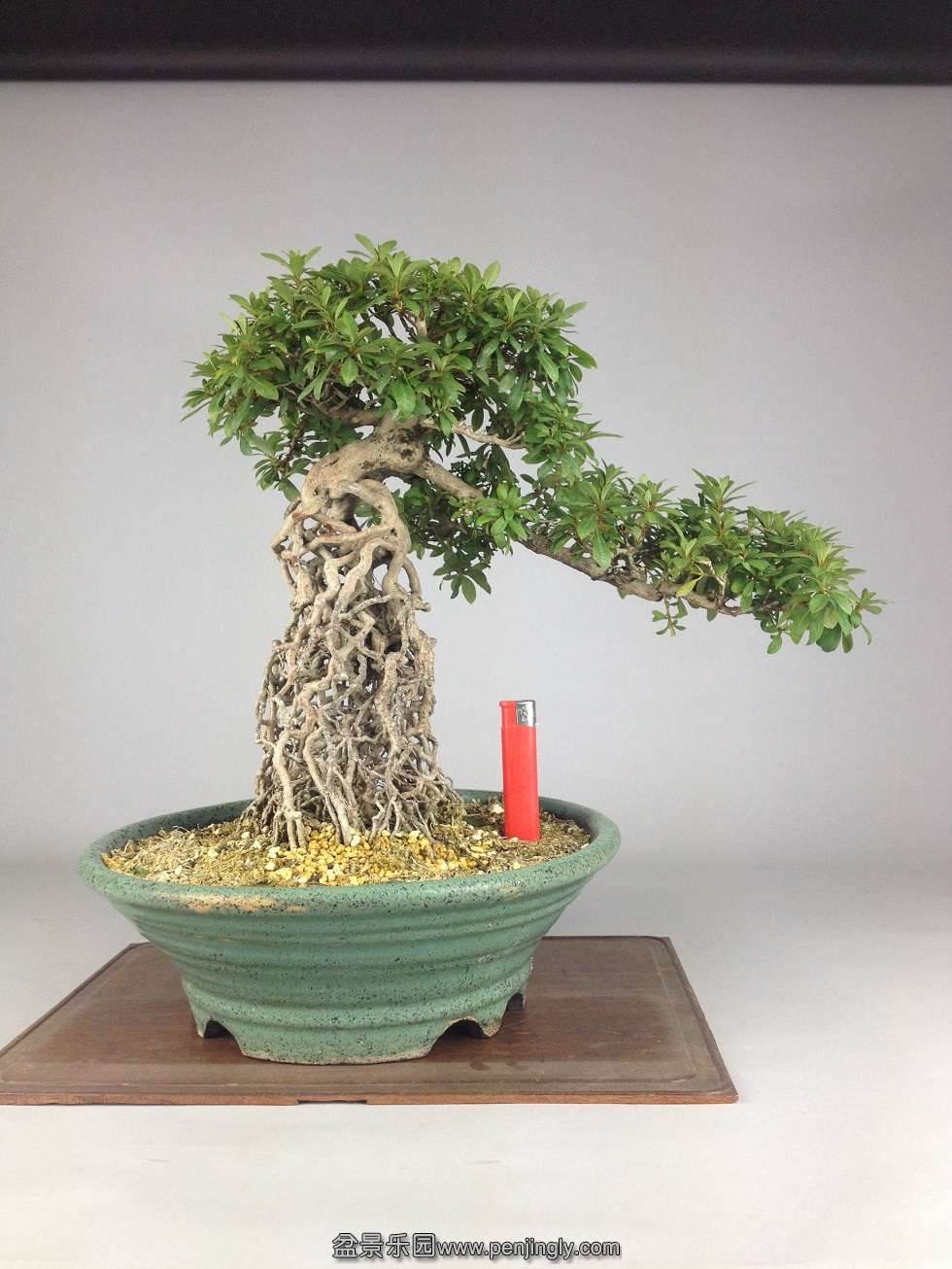 �����35cm������40cm