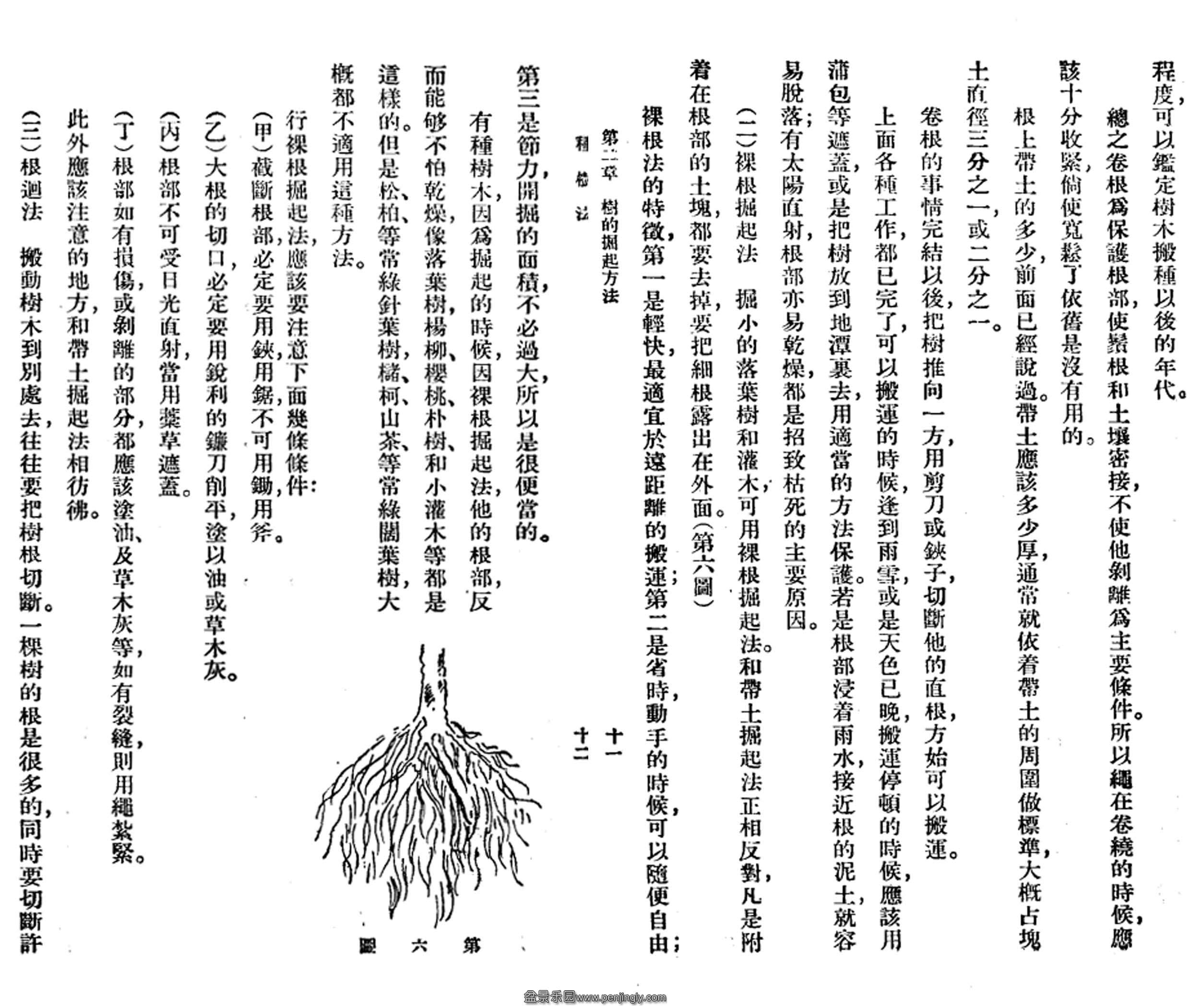 顷11-12.jpg