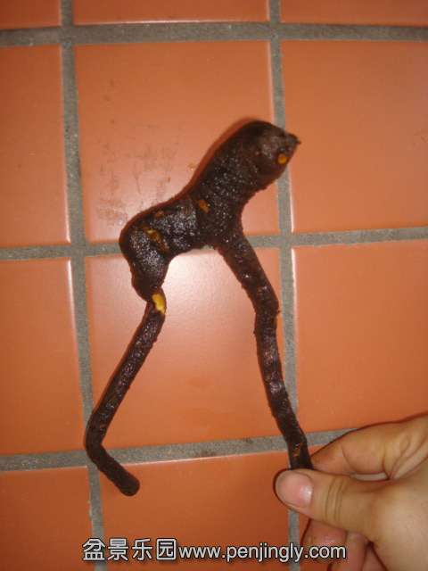 DSC08030.JPG