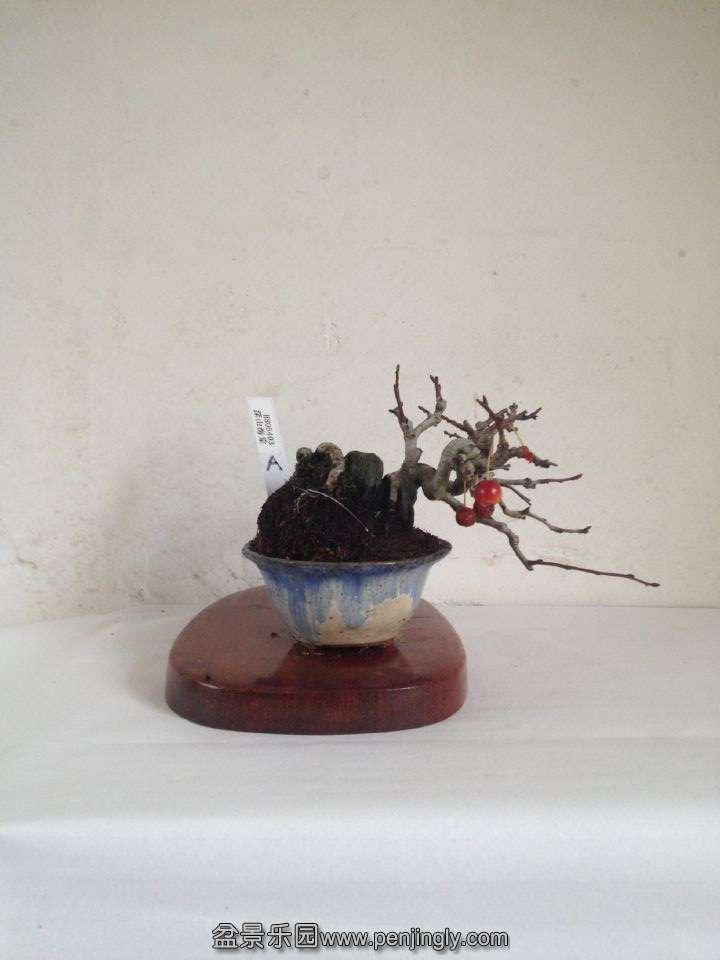 QQͼƬ20141106103632.jpg