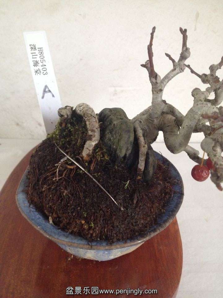 QQͼƬ20141106103636.jpg