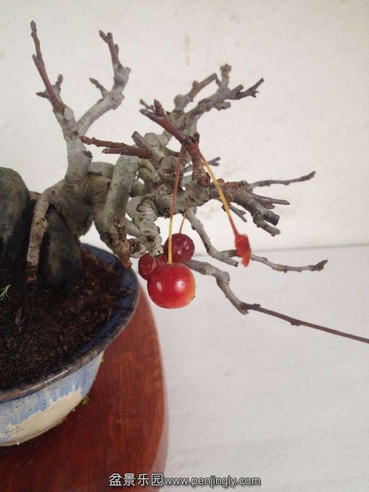 QQͼƬ20141106103639.jpg