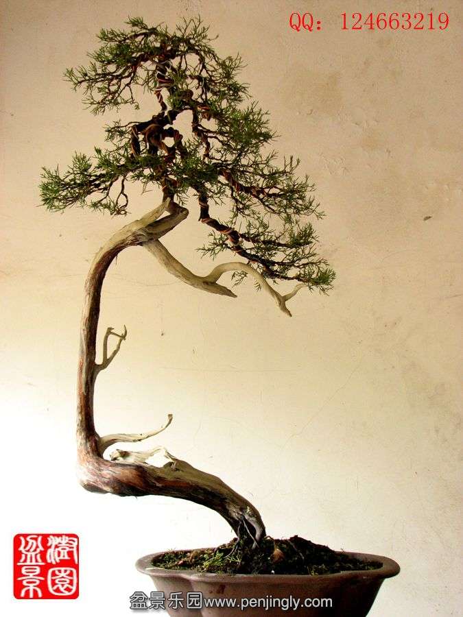 IMG_0388_.jpg