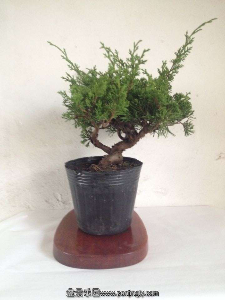 QQͼƬ20141106100458.jpg