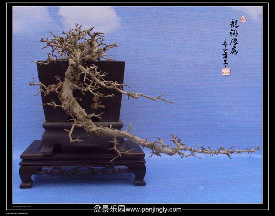 DSC01030_.jpg