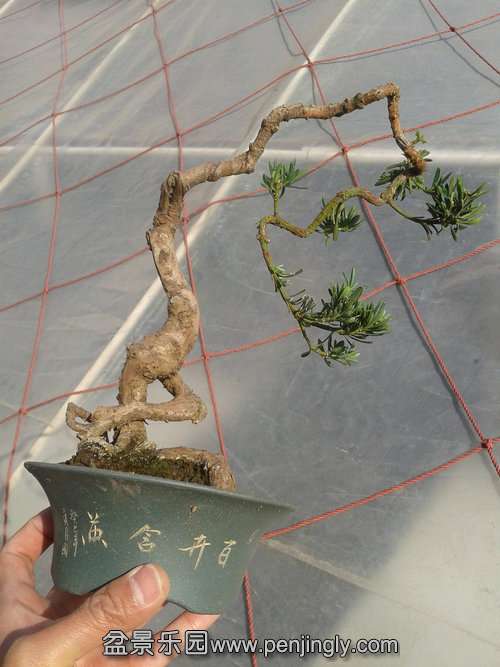 2014-01-19 13.13.06.jpg