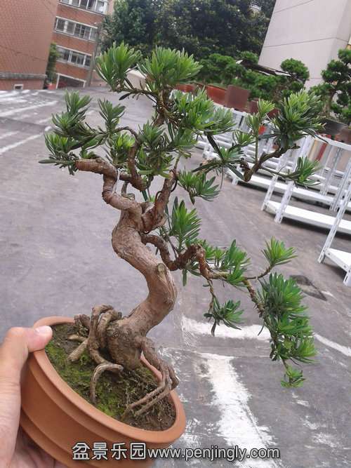 2013-06-29 13.47.49.jpg