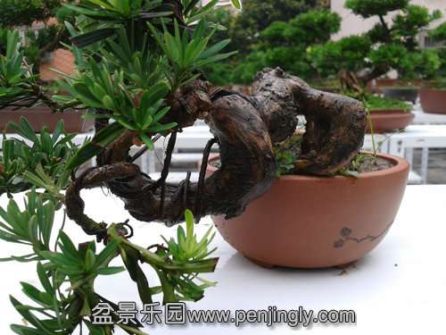 2013-07-05 13.55.15.jpg