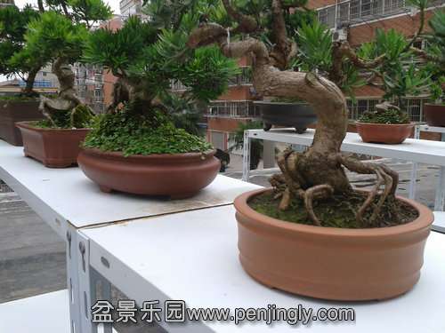 2013-06-29 13.46.08.jpg