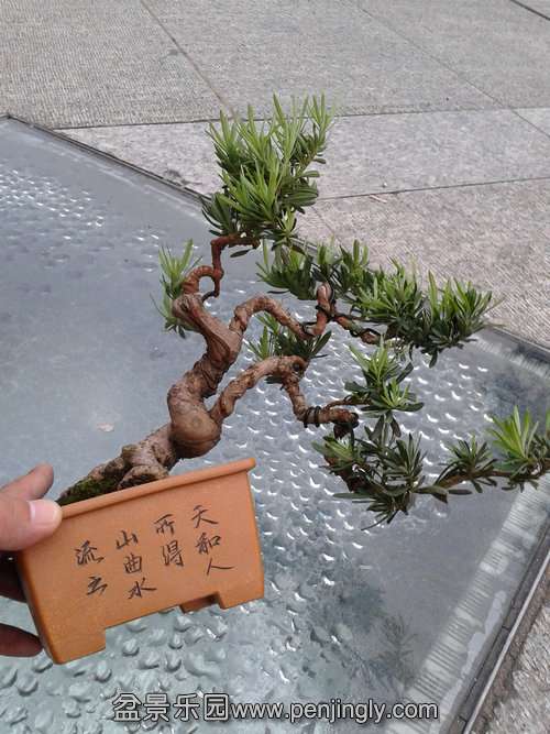 2013-09-08 17.28.47.jpg