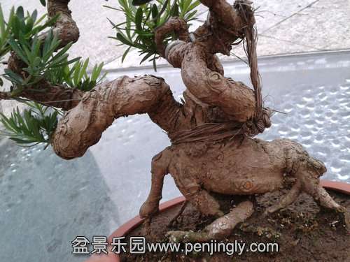 2013-09-08 17.44.46.jpg