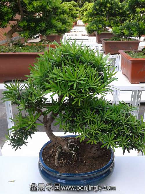 2013-09-17 14.14.21.jpg