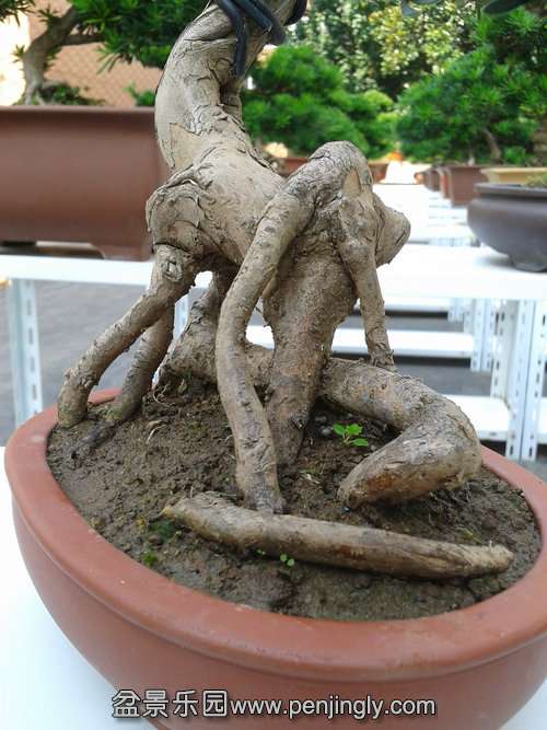 2013-10-10 13.39.21.jpg