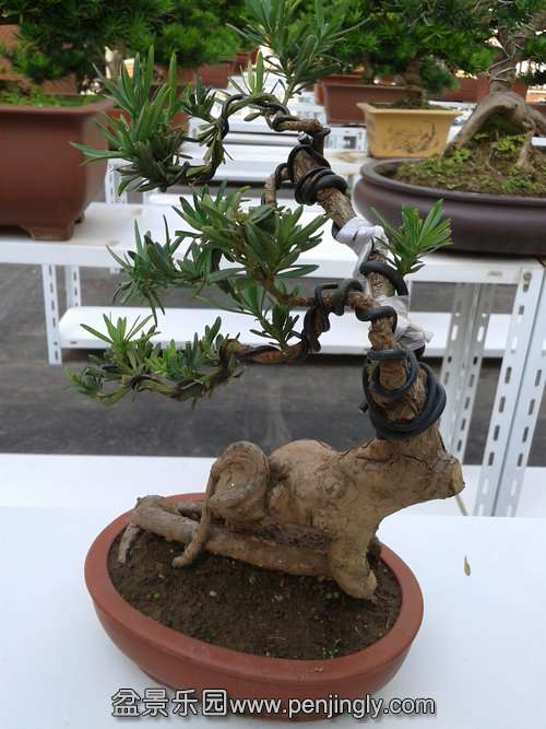 2013-10-10 13.40.57.jpg