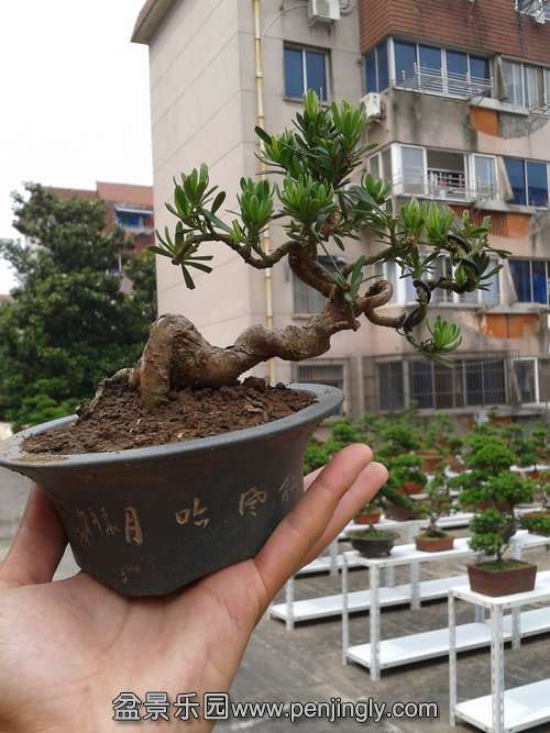 2013-05-29 13.50.00.jpg