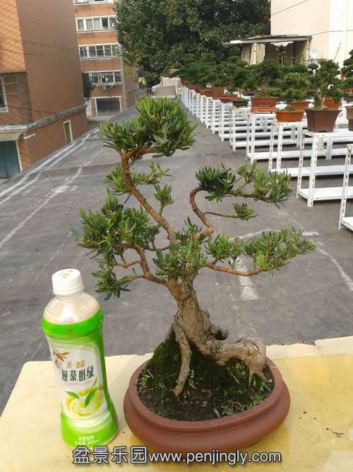 2013-11-15 13.20.25.jpg