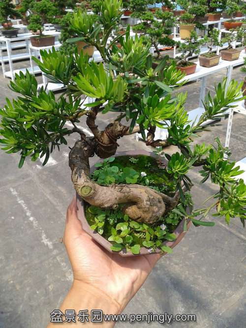 2013-06-17 13.41.15.jpg