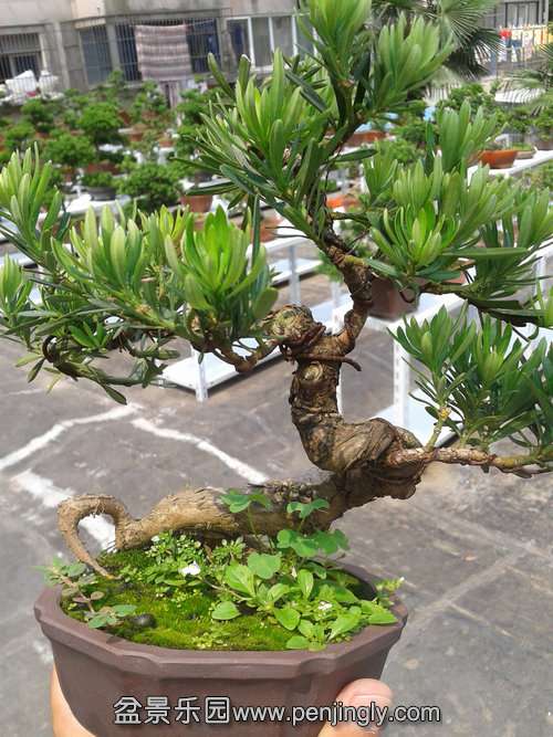 2013-06-17 13.42.45.jpg