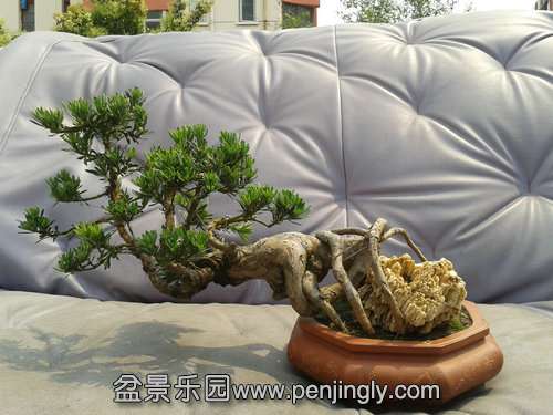 2013-06-17 13.48.15.jpg