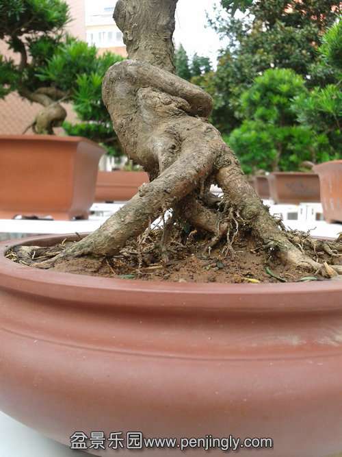 2013-10-19 14.51.38.jpg