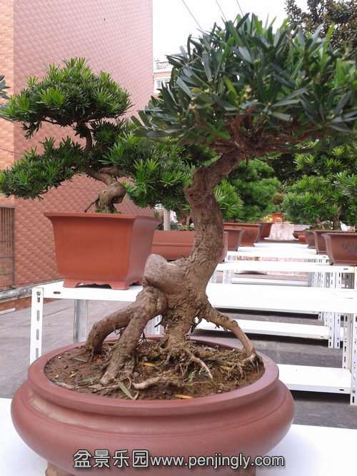 2013-10-19 14.50.57.jpg