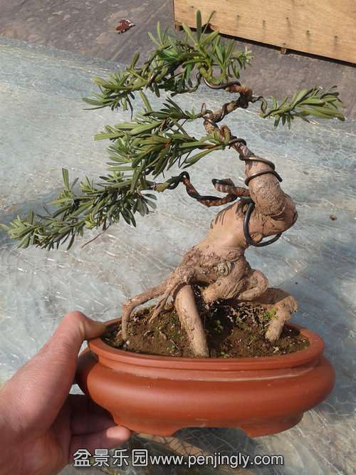 2014-03-14 13.46.40.jpg