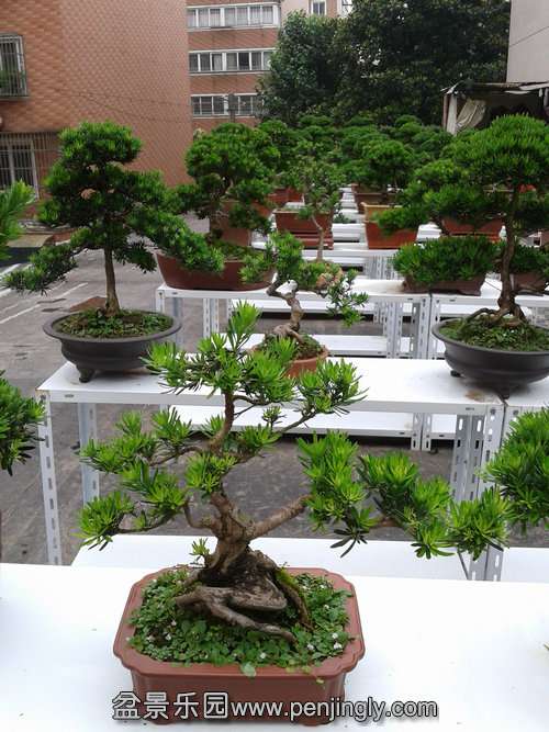 2013-06-19 13.22.49.jpg